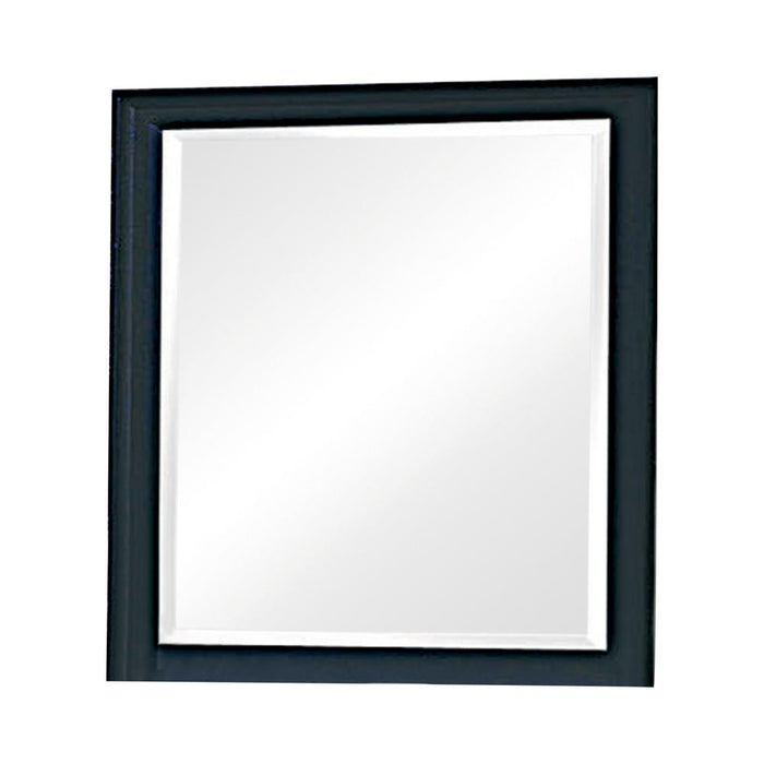Sandy Beach Vertical Dresser Mirror Black - Casa Morelos / Coahuila Furniture (Oklahoma City, OK)