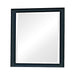 Sandy Beach Vertical Dresser Mirror Black - Casa Morelos / Coahuila Furniture (Oklahoma City, OK)