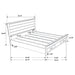 Woodmont Bedroom Sets - Casa Morelos / Coahuila Furniture (Oklahoma City, OK)