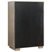 Durango Chests - Casa Morelos / Coahuila Furniture (Oklahoma City, OK)