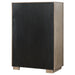 Durango Chests - Casa Morelos / Coahuila Furniture (Oklahoma City, OK)