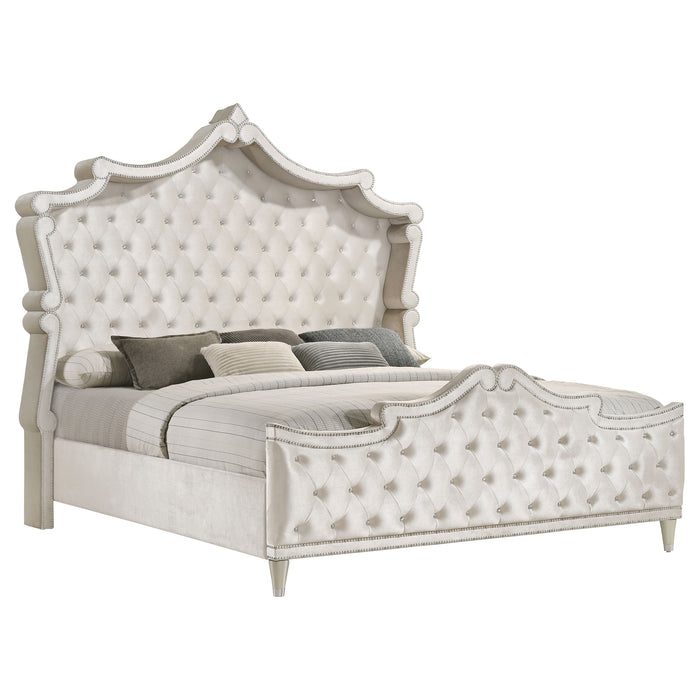Antonella Bedroom Sets - Casa Morelos / Coahuila Furniture (Oklahoma City, OK)