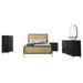 Arini 4 & 5 Piece Bedroom Set King & Queen - Casa Morelos / Coahuila Furniture (Oklahoma City, OK)