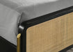 Arini Eastern King & Twin Bed - Casa Morelos / Coahuila Furniture (Oklahoma City, OK)