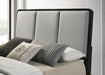 Arini Eastern King & Twin Bed - Casa Morelos / Coahuila Furniture (Oklahoma City, OK)