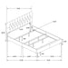 Kendall Panel Bed E.King, & Queen Black & White - Casa Morelos / Coahuila Furniture (Oklahoma City, OK)