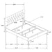 Kendall Upholstered Panel Bed - Casa Morelos / Coahuila Furniture (Oklahoma City, OK)