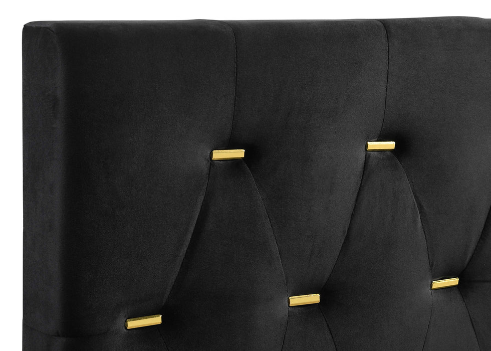 Kendall Panel Bed E.King, & Queen Black & White - Casa Morelos / Coahuila Furniture (Oklahoma City, OK)