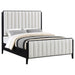 Brookmead 60-inch Upholstered Bed Black - Casa Morelos / Coahuila Furniture (Oklahoma City, OK)