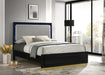 Caraway California King, E.King, & Queen Bed Black & White - Casa Morelos / Coahuila Furniture (Oklahoma City, OK)