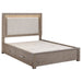 Kenora California King, E.king, & Queen Bed - Casa Morelos / Coahuila Furniture (Oklahoma City, OK)