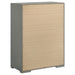 Ives 4 & 5 Piece Bedroom Set E.king & Queen White & Grey - Casa Morelos / Coahuila Furniture (Oklahoma City, OK)