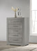 Ives Chests - Casa Morelos / Coahuila Furniture (Oklahoma City, OK)
