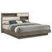 Fenwick California King, Eastren King, Queen Bed - Casa Morelos / Coahuila Furniture (Oklahoma City, OK)