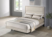 Trenton Beds - Casa Morelos / Coahuila Furniture (Oklahoma City, OK)