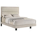 Trenton Beds - Casa Morelos / Coahuila Furniture (Oklahoma City, OK)