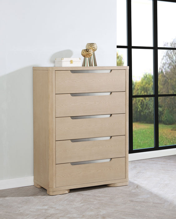 Ladera Chests - Casa Morelos / Coahuila Furniture (Oklahoma City, OK)