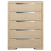 Ladera Chests - Casa Morelos / Coahuila Furniture (Oklahoma City, OK)