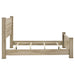 Oakglen Beds - Casa Morelos / Coahuila Furniture (Oklahoma City, OK)