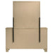 Oakglen Dresser With Mirrors - Casa Morelos / Coahuila Furniture (Oklahoma City, OK)