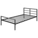 Fisher Beds - Casa Morelos / Coahuila Furniture (Oklahoma City, OK)