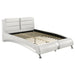 Jeremaine California King, E.King, & Queen Upholstered Bed White - Casa Morelos / Coahuila Furniture (Oklahoma City, OK)