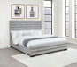 Patricia Beds - Casa Morelos / Coahuila Furniture (Oklahoma City, OK)