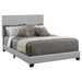 Dorian Beds 5 - Casa Morelos / Coahuila Furniture (Oklahoma City, OK)