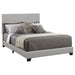 Dorian Upholstered California King, E.King, & Queen Bed Black, Brown, & Grey - Casa Morelos / Coahuila Furniture (Oklahoma City, OK)