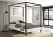 Monroe Eastern King & Queen Bed - Casa Morelos / Coahuila Furniture (Oklahoma City, OK)