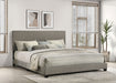 Dorian Panel Beds - Casa Morelos / Coahuila Furniture (Oklahoma City, OK)