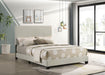 Dorian Panel Beds - Casa Morelos / Coahuila Furniture (Oklahoma City, OK)
