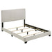 Dorian Panel Beds - Casa Morelos / Coahuila Furniture (Oklahoma City, OK)
