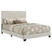 Dorian Panel Beds - Casa Morelos / Coahuila Furniture (Oklahoma City, OK)