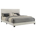 Dorian Panel Beds - Casa Morelos / Coahuila Furniture (Oklahoma City, OK)