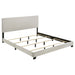 Dorian Panel Beds - Casa Morelos / Coahuila Furniture (Oklahoma City, OK)