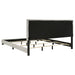 Dorian Panel Beds - Casa Morelos / Coahuila Furniture (Oklahoma City, OK)