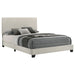 Dorian Panel Beds - Casa Morelos / Coahuila Furniture (Oklahoma City, OK)