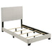 Dorian Panel Beds - Casa Morelos / Coahuila Furniture (Oklahoma City, OK)