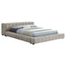 Trinity California King, E.king, Queen, & Full Bed Green & Light Taupe - Casa Morelos / Coahuila Furniture (Oklahoma City, OK)