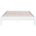 Hounslow Platform Bases - Casa Morelos / Coahuila Furniture (Oklahoma City, OK)