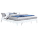 Hounslow Universal Platform Bed - Casa Morelos / Coahuila Furniture (Oklahoma City, OK)