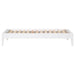 Hounslow Platform Bases - Casa Morelos / Coahuila Furniture (Oklahoma City, OK)