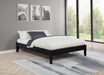Hounslow Platform Bases - Casa Morelos / Coahuila Furniture (Oklahoma City, OK)
