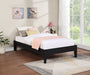 Hounslow Universal Platform Bed - Casa Morelos / Coahuila Furniture (Oklahoma City, OK)