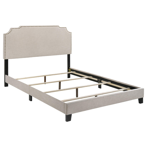 Tamarac Upholstered Nailhead Full, Eastern King & Queen Bed Beige & Grey - Casa Morelos / Coahuila Furniture (Oklahoma City, OK)