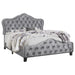Bella Beds Cal.King & E.King, Queeen - Casa Morelos / Coahuila Furniture (Oklahoma City, OK)
