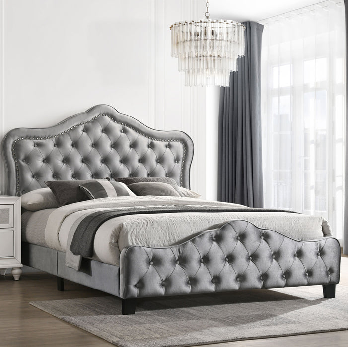 Bella Beds Cal.King & E.King, Queeen - Casa Morelos / Coahuila Furniture (Oklahoma City, OK)