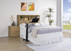 Westpark Headboards - Casa Morelos / Coahuila Furniture (Oklahoma City, OK)