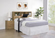 Westpark Headboards - Casa Morelos / Coahuila Furniture (Oklahoma City, OK)